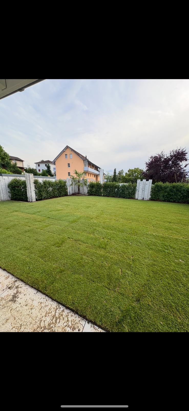 Gartenanlage mit Rasen und Sichtschutz